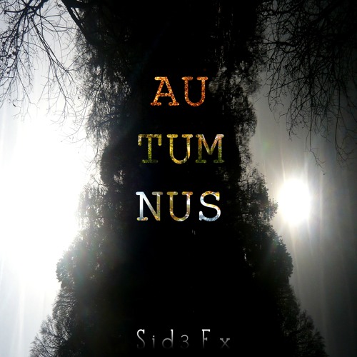 Meditation At The Top Of A Dead Tree