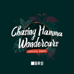 Chasing Hamma Wondercars (Pibro Mashup)