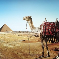 Desert2(Royalty Free Music)