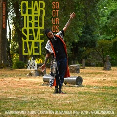 Chartreuse Velvet: A Magic Cover Album