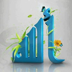 جابر العزب في طريف النبي -