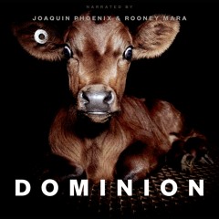E02 - Interviews after watching Dominion!