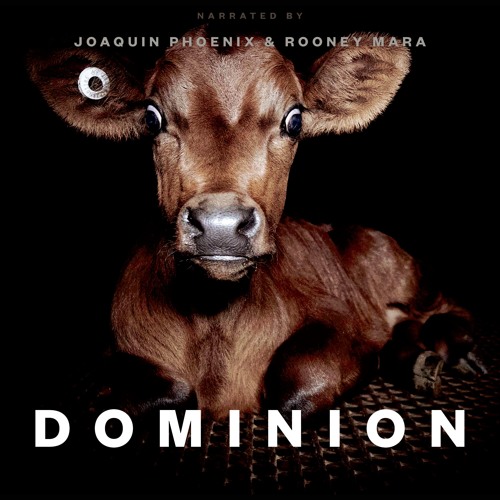 E02 - Interviews after watching Dominion!