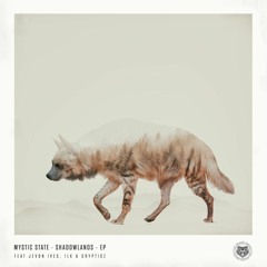 Mystic State - Shadowlands (ft. Ilk)
