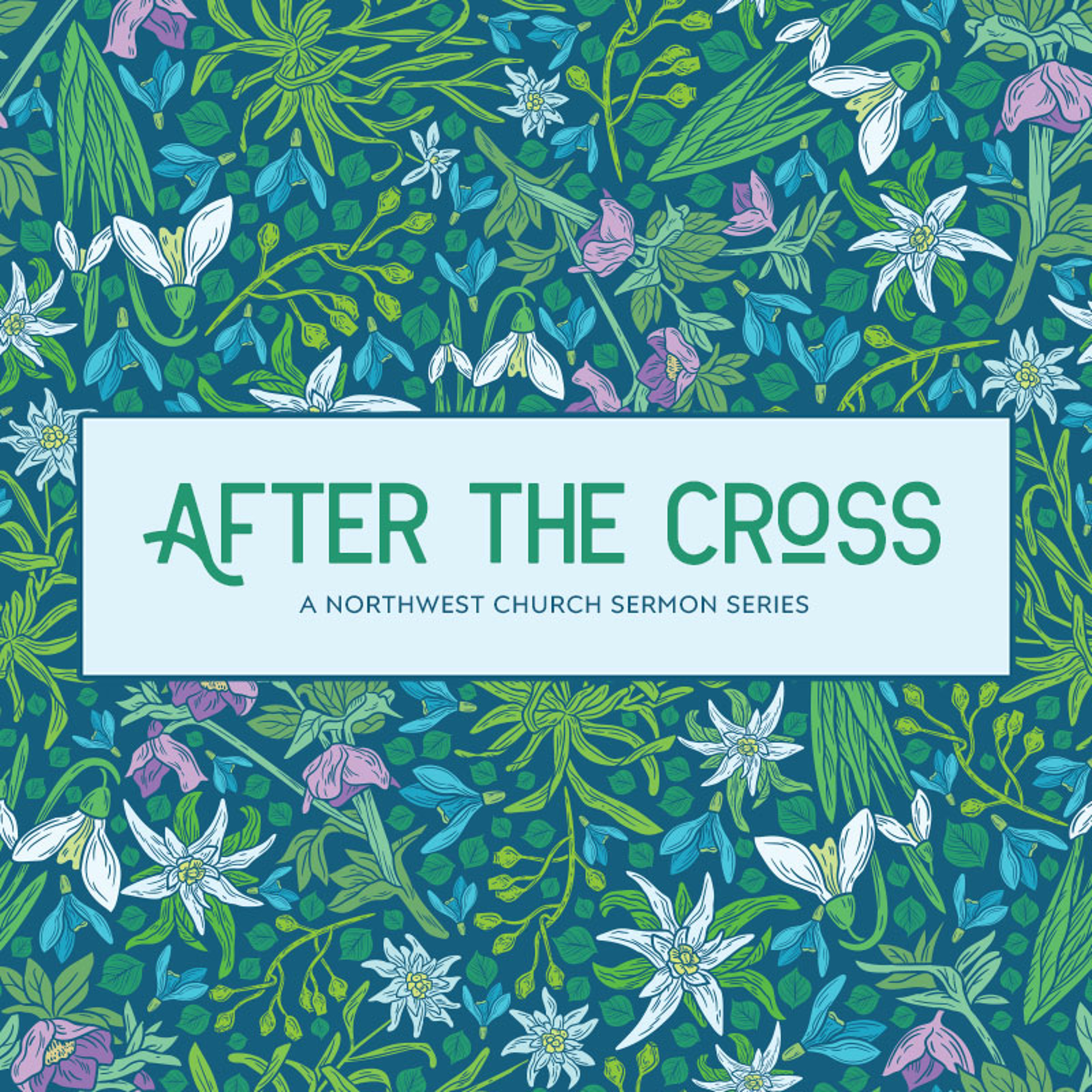 After the Cross - The Church Begins episode artwork