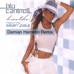 Sean Paul ft. Blu Cantrell - Breathe (Damian Harrison Remix Radio Edit)