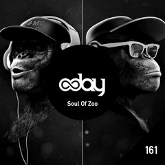 8dayCast 161 - Soul Of Zoo (CA)