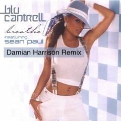 Sean Paul ft. Blu Cantrell - Breathe (Damian Harrison Remix)