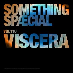 VISCERA: SPÆCIAL MIX 110