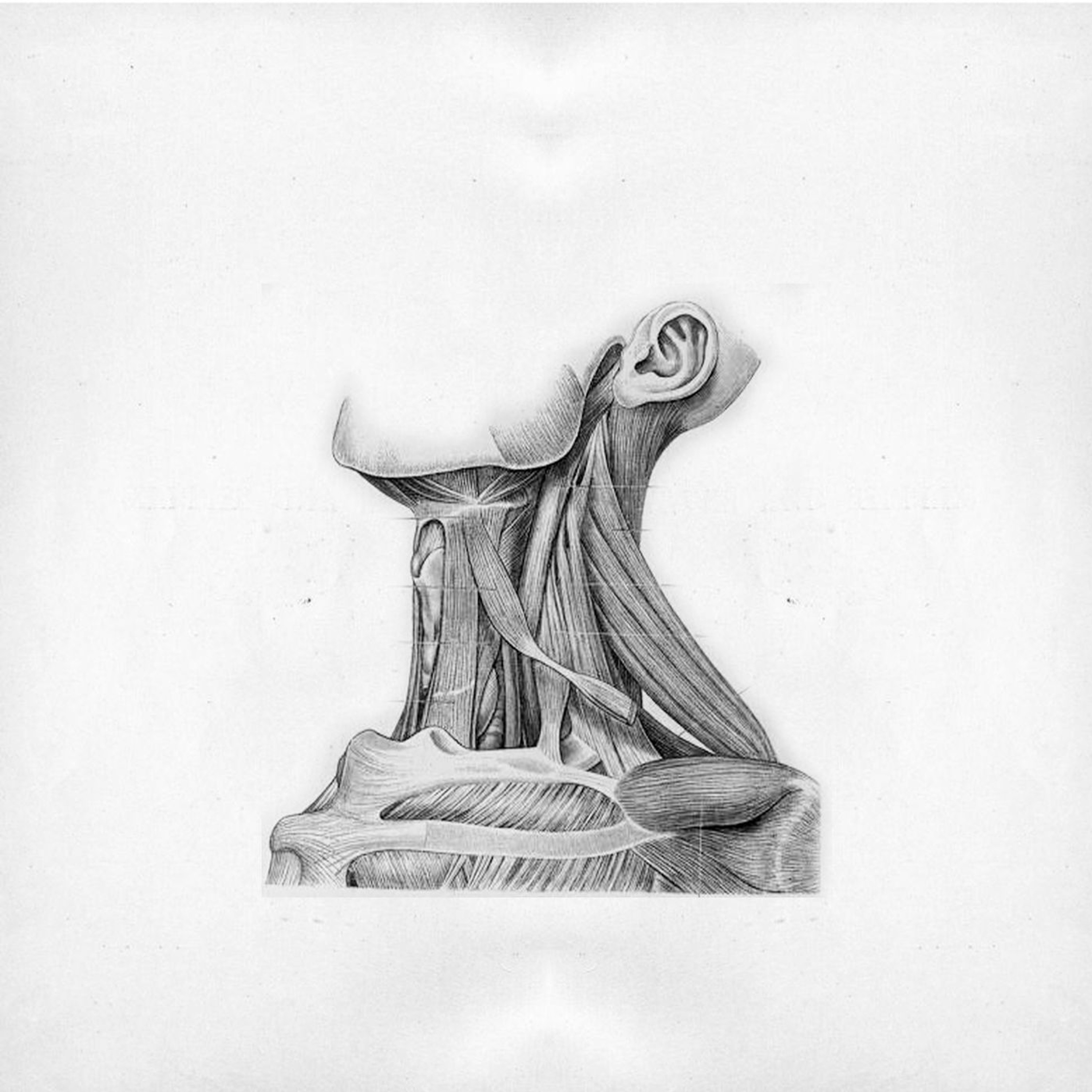 Joni Void • "Ave Maria" episode artwork