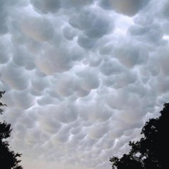 Marshmallow Clouds