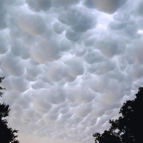 Marshmallow Clouds