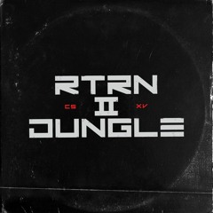 10 Missed Calls - Chase & Status (Foundation Show Return To Jungle RIP)