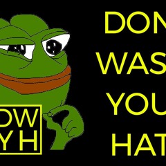 Guest Spot on "Don't Waste Your Hate"