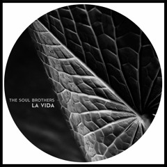 Mercedes Sosa - Gracias a la Vida (The Soul Brothers Edit)[Free Download]