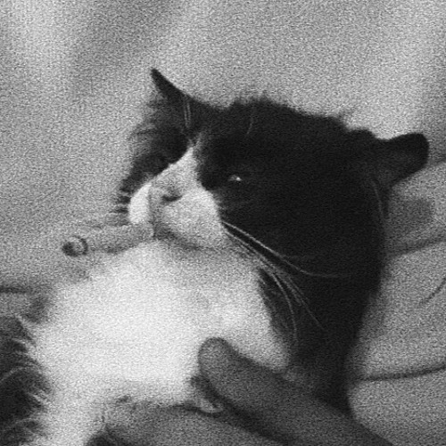 Misero Histronic - YouTube