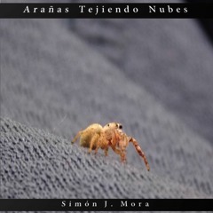 Arañas Tejiendo Nubes