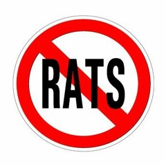 NO LOVE FOR RATS