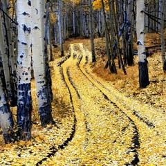 I Wear Your Love Inside My Heart