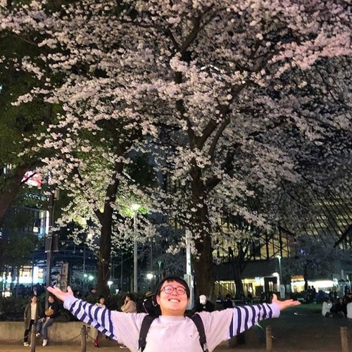 大暴れ！ピンチケMIX