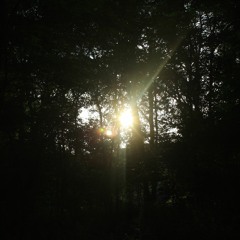 Wet, Hot American Summer-HTX Remix