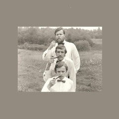 Amor Trio - Sa sobid mulle väga.