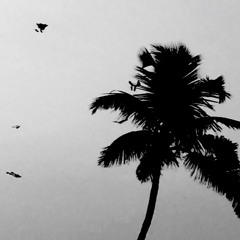 Searching for nature in machines : Sonic biomimetics