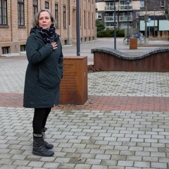 Om staden som format för demokrati, med Kerstin Bergendal