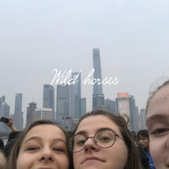 Wild Horses - Birdy (Cover)| Maaike Julène