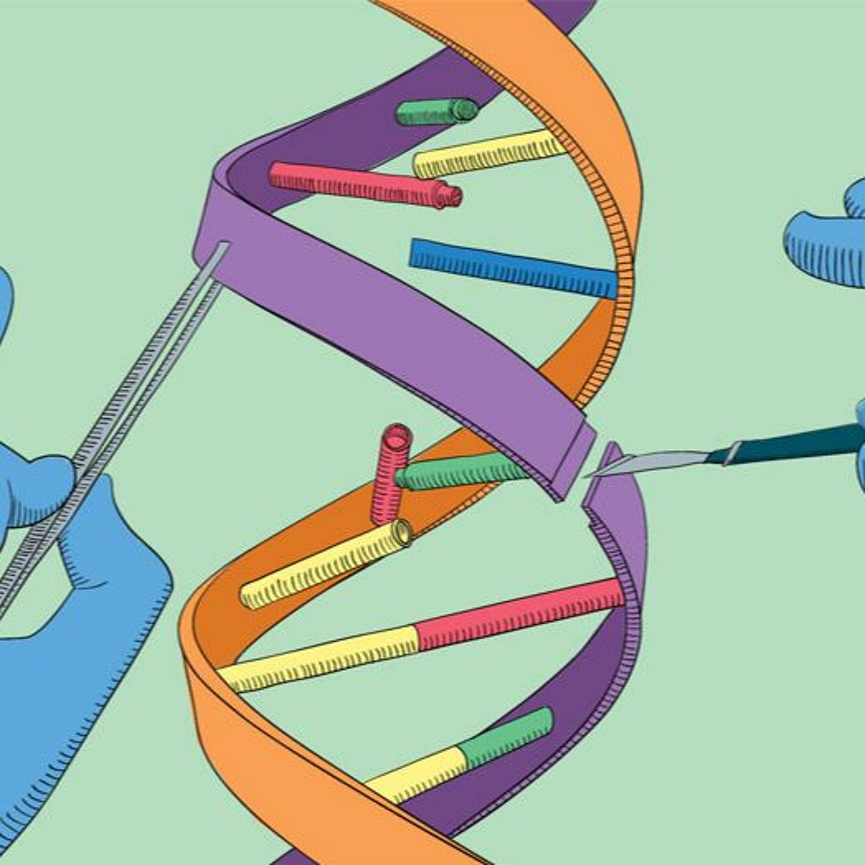 Gene Editing: Technologies, Potential and Ethical Implications