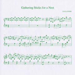 gathering sticks for a nest (piano version)