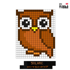 Solarc - High On Mushrooms