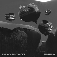 My Swan Dear Swan [February - Branching Tracks]