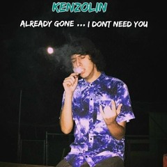 Already Gone/I Dont Need You (Prod. FIEND)