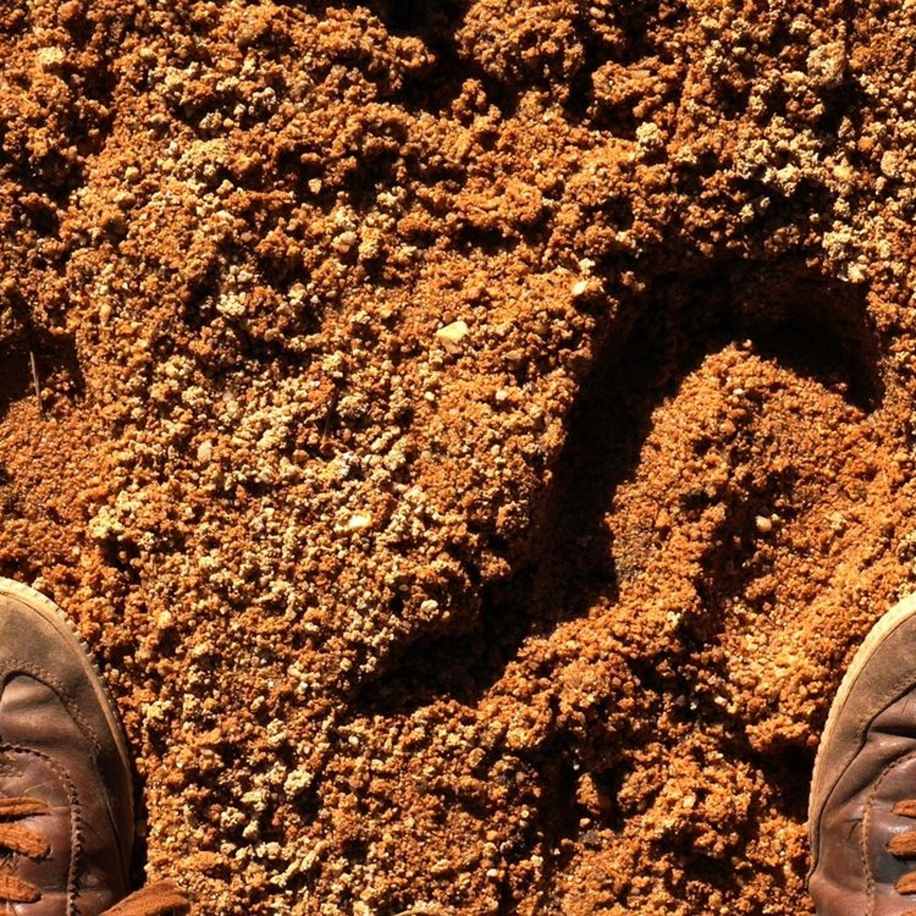 Ep. 25 — On Desert Sand episode artwork
