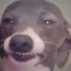 Packing Playlist 2018