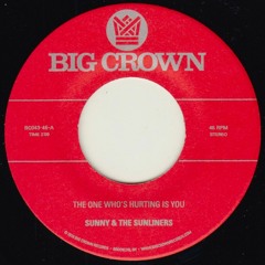 Sunny & The Sunliners - The One Who's Hurting Is You - BC005-45 - Side A