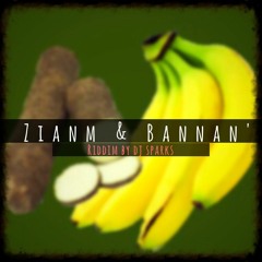 Zianmm & Bananm Riddim BPM 102