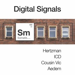 SOM 065 Hertzman X Aedem - Digital Signals (United Mix) preview