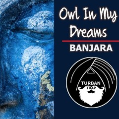 Banjara Instrumental - Owl In My Dreams - Indian Trap Music Mix  - Bass Boosted