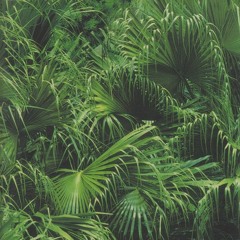 nature's greatest mystery.