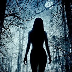 DARK/ FOREST/NIGHT