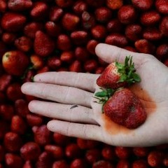 Anh Sẽ Hối Hận (Remix) Bas Căng Cực Tại Barocco Clup