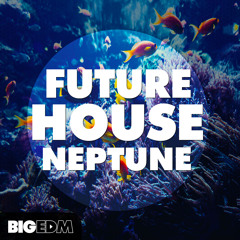 Future House NEPTUNE | 530+ Samples, Melodies, Presets & Kits!