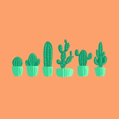Cactus Flower