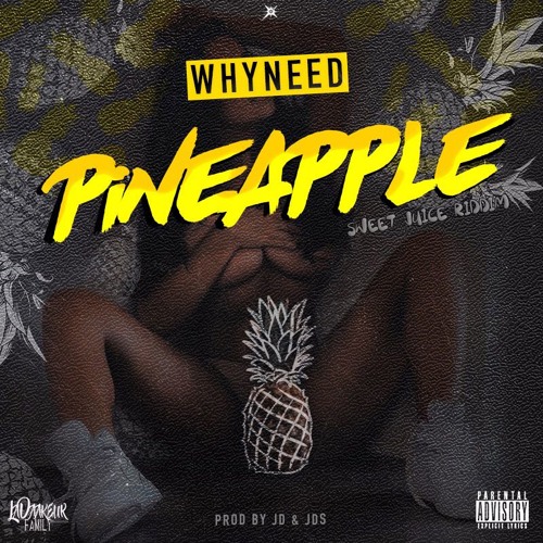 Whyneed - PineApple(Prod by JDS & JD)