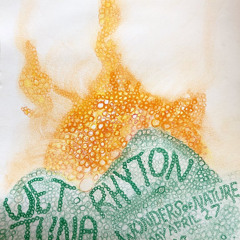 Rhyton - The Owl's Octave > Pharaonic Crosstalk (Wonders of Nature 2018-04-27)