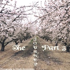 The Journey Part 3