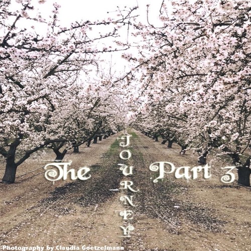 The Journey Part 3