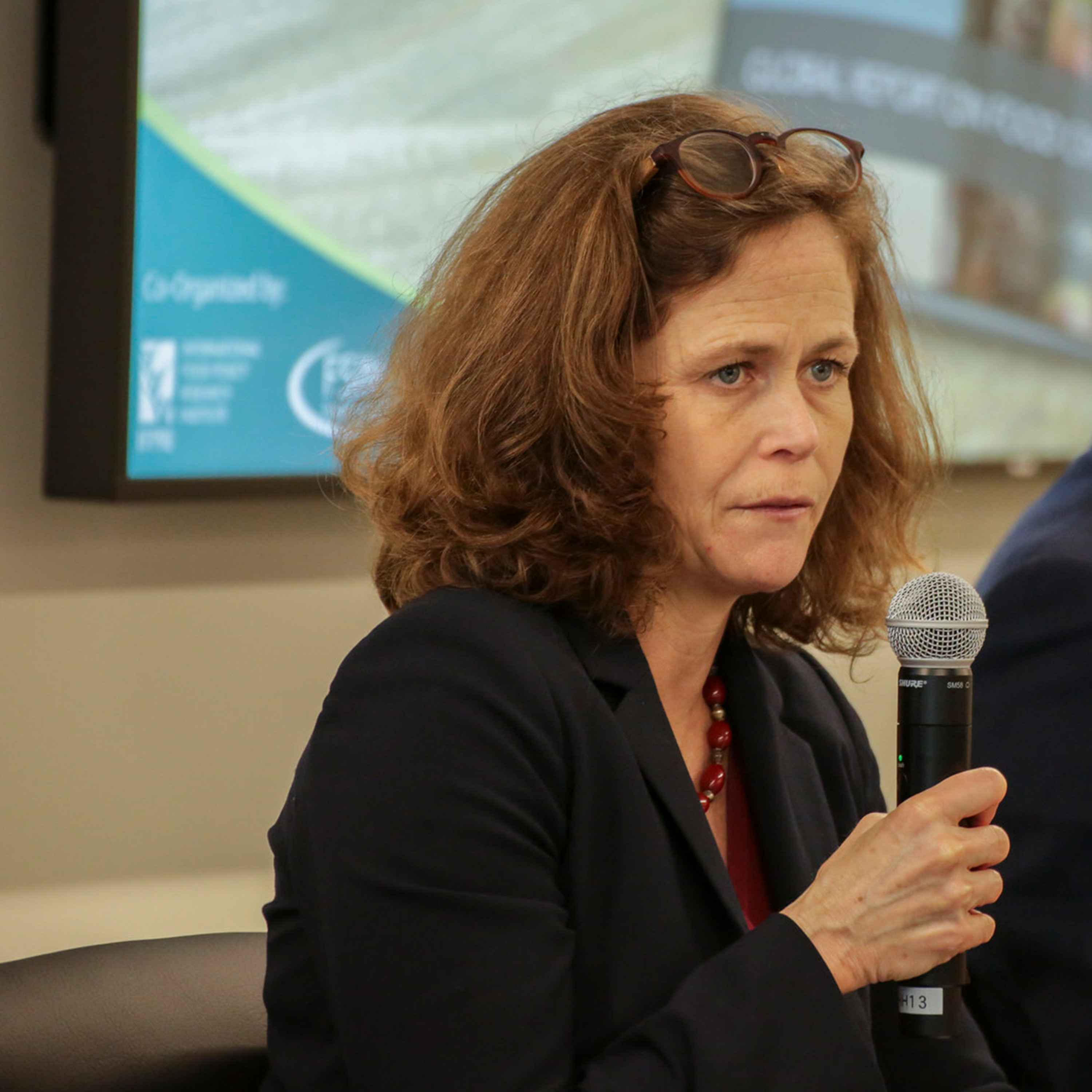 IFPRI SPECIAL EVENT: Washington, DC Launch--2018 Global Report on Food Crises- 4/27/2018 - BDunford episode artwork